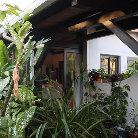 Luxury Cosy Guesthouse 팜플레모우세스 외부 사진