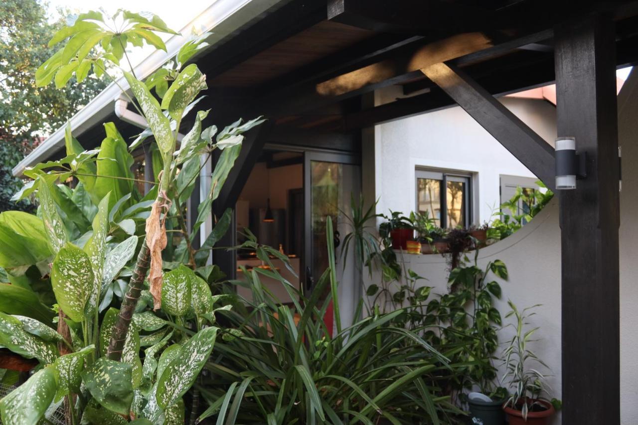 Luxury Cosy Guesthouse 팜플레모우세스 외부 사진